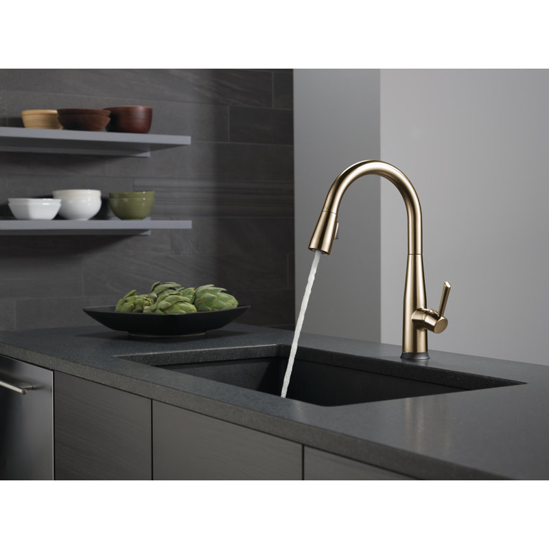 Essa Pull Down Sprayer Touch and Voice Control Kitchen Sink Faucet, Touch Control Kitchen Faucet, Champagne Bronze