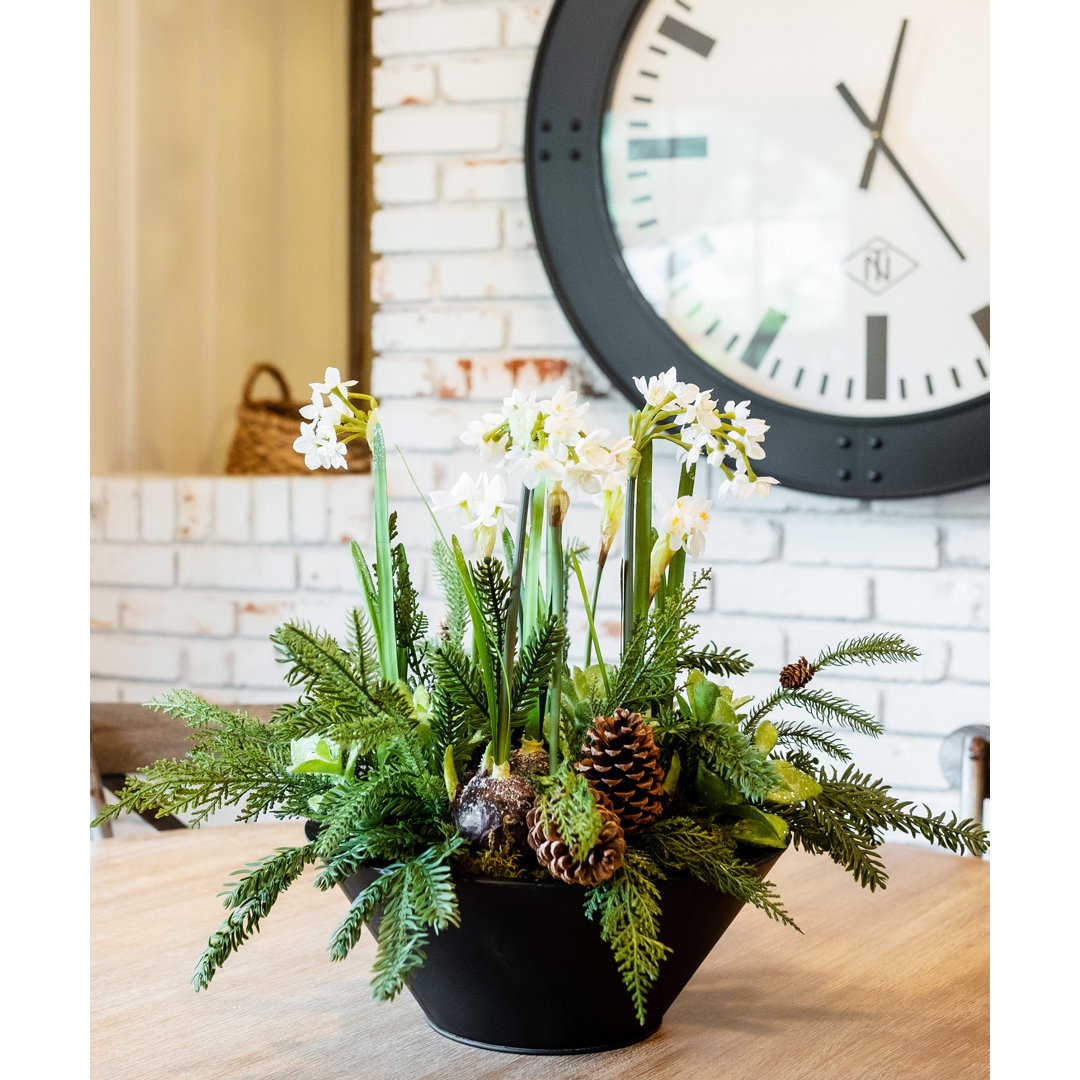 Amaryllis Arrangement in Vase T&C Floral Company