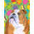 Bouledogue (brun et blanc)