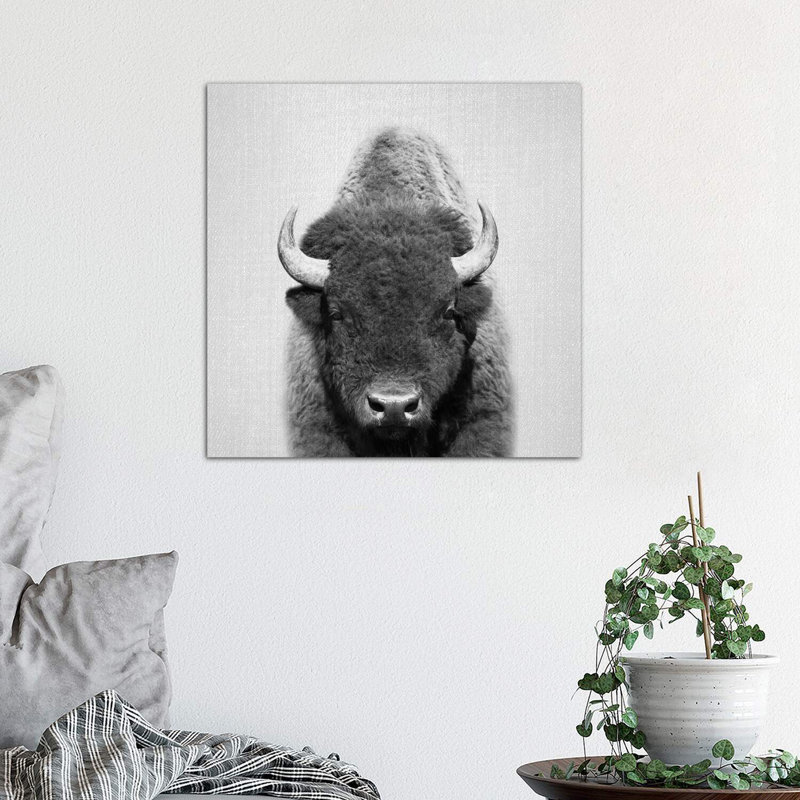 «Buffalo», reproduction d'art, H 37 po x l 37 po x P 1,5 po, Toile tendue