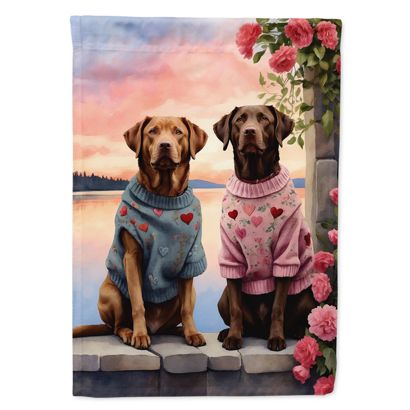 Drapeau pour chien double face en polyester H 15,5 po x l 11,25 po