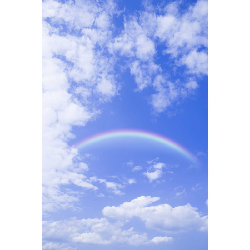 " Blue Skies And Rainbows " by Gyro, 18" H x 12" W
