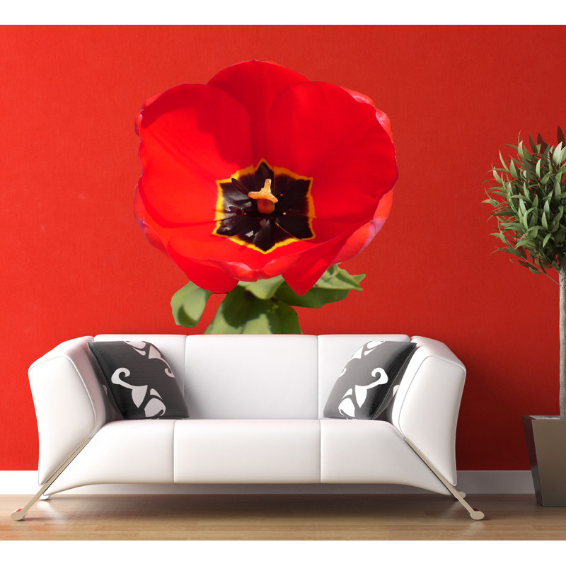 Poppy Plants & Flowers Wall Decal, 46" H x 46" W
