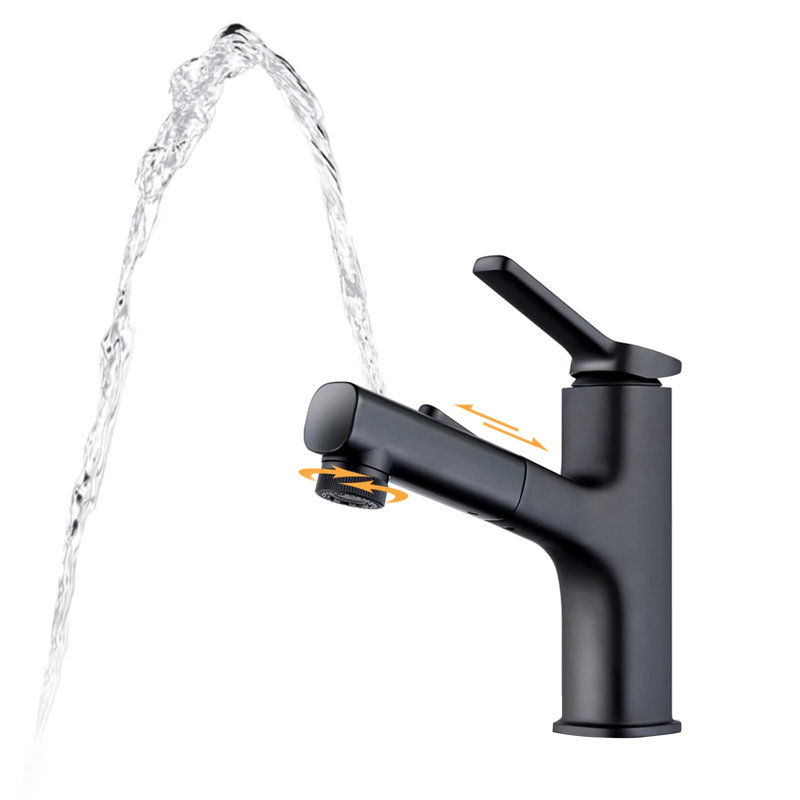 Single-Hole Single-Handle Bathroom Faucet with Pull Out Sprayer, Black