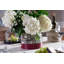 3-in-1 Glass Bloom Vase-1909190226
