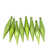 Green Kiwi is out of stock selected