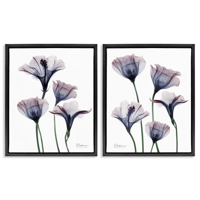 Bountiful Dusk Lilies 2pc Floating Frame Set, design by Albert Koetsier