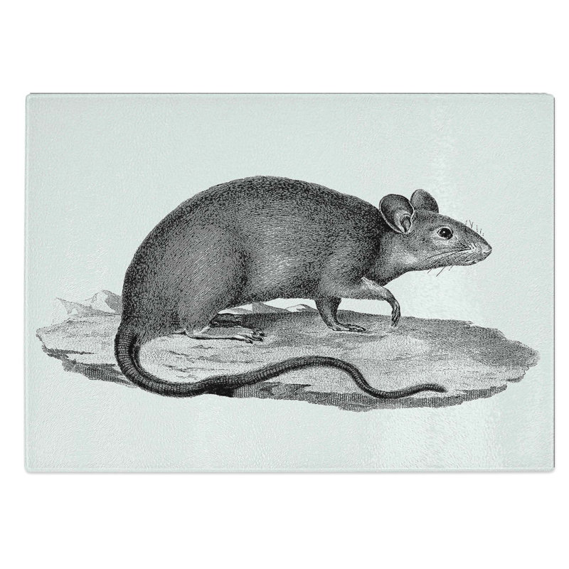 Tempered Glass Rat Illustration Chopping Board, 28.5 cm W x 20 cm L