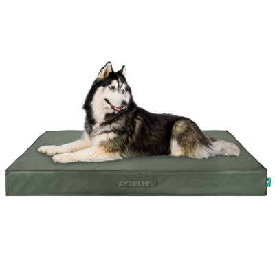 Premium Indoor-Outdoor Deluxe Mattress Dog Bed