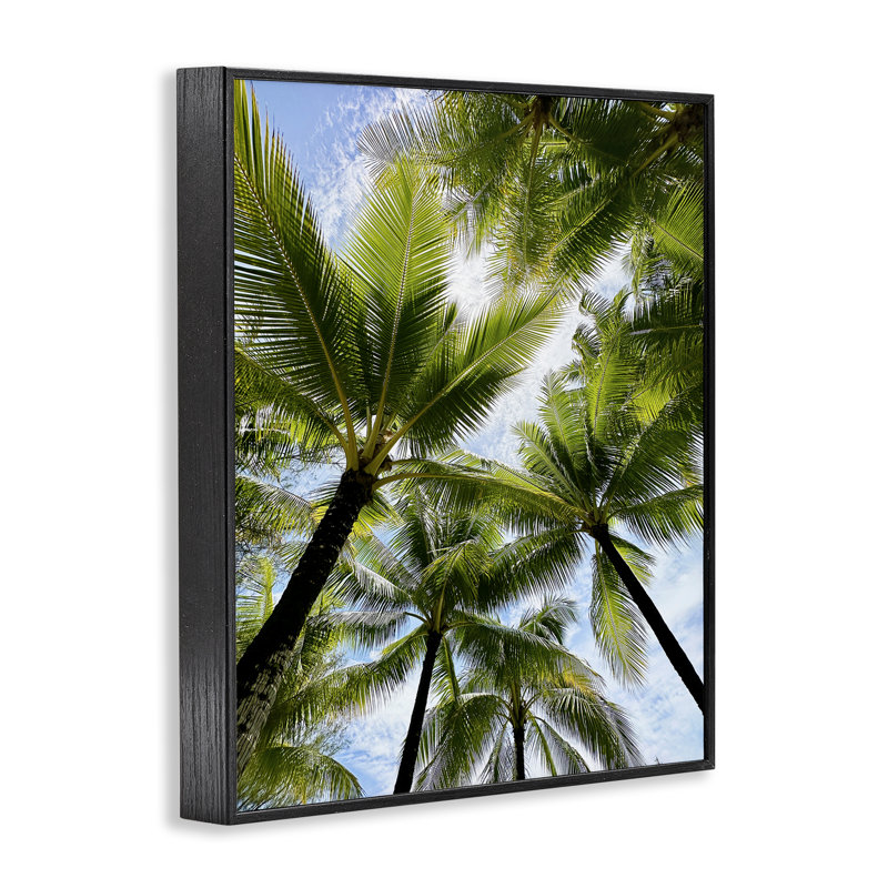 «Overhead Palm Trees», art de la giclée encadrée par Kali Wilson bf-522, Giclée encadrée noir minuit, H 14 po x l 11 po