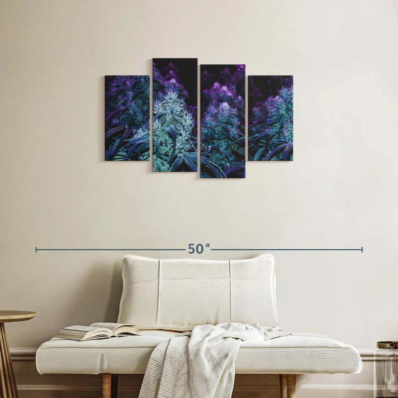 Flowering Purple Cannabis, 22" H x 36" W