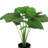 19" Artificial Split Leaf Philodendron Monstera Plant in Pot