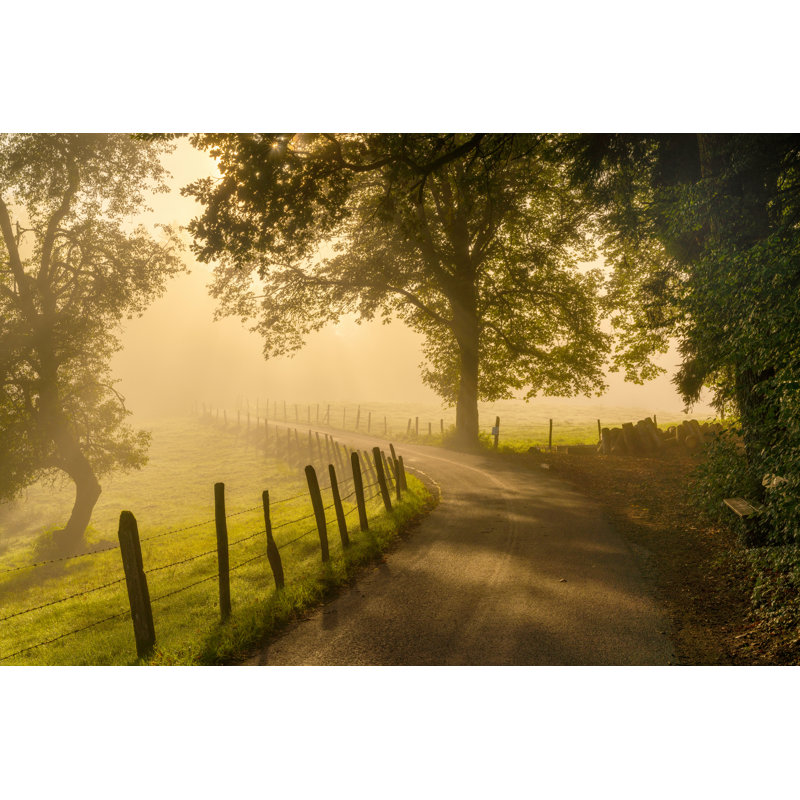 «Morning Walk» par Norbert, H 48 po x l 72 po