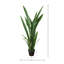 Snake Plant Drop-In