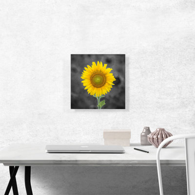 Jaune tournesol dans un champ de ferme - reproduction de photo sur toile tendue