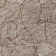Colzie Floral Indoor / Outdoor Rug