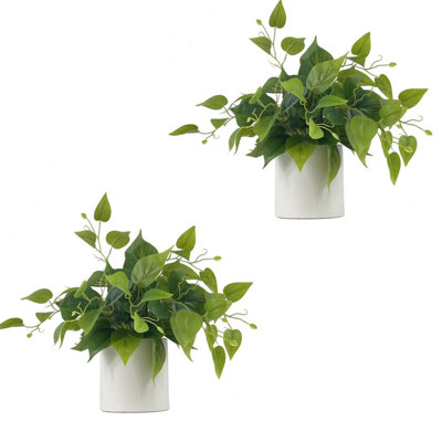 2Pack de plantes avec pot pour la décoration d'intérieur