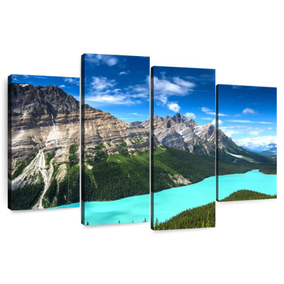 Alvord Turquoise Peyto Lake