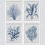 Ensemble de 4 reproductions de cadres photo 4 pièces-97770266-97770267