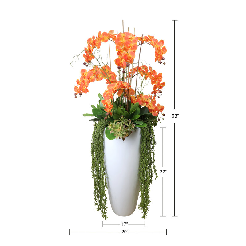 Orchid Arrangement with Cactus in Fiberstone Planter, Orange/Green