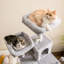 Grand condo 64 "pour chat-827456025-848029378