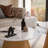 Huseman 2In1 Round Coffee Table CARTELLE White High Gloss-981118497