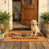 Cinq chouettes bienvenues