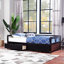 Lit de jour avec lit gigogne Ronneby-61227395