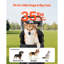 Poussette pour chien pliable pour animaux 4 roues transportable et amovible jusqu'à 35 lb