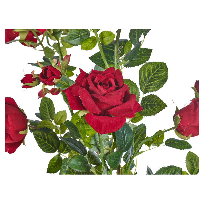 Arrangement