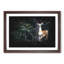 Curious Fawn - Framed Print-56916753-56916756