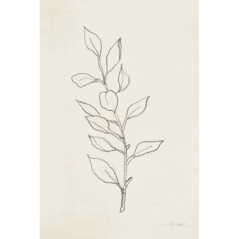 «August Branch II» par Silvia Vassileva - reproduction de dessin, H 30 po x l 20 po, Toile tendue