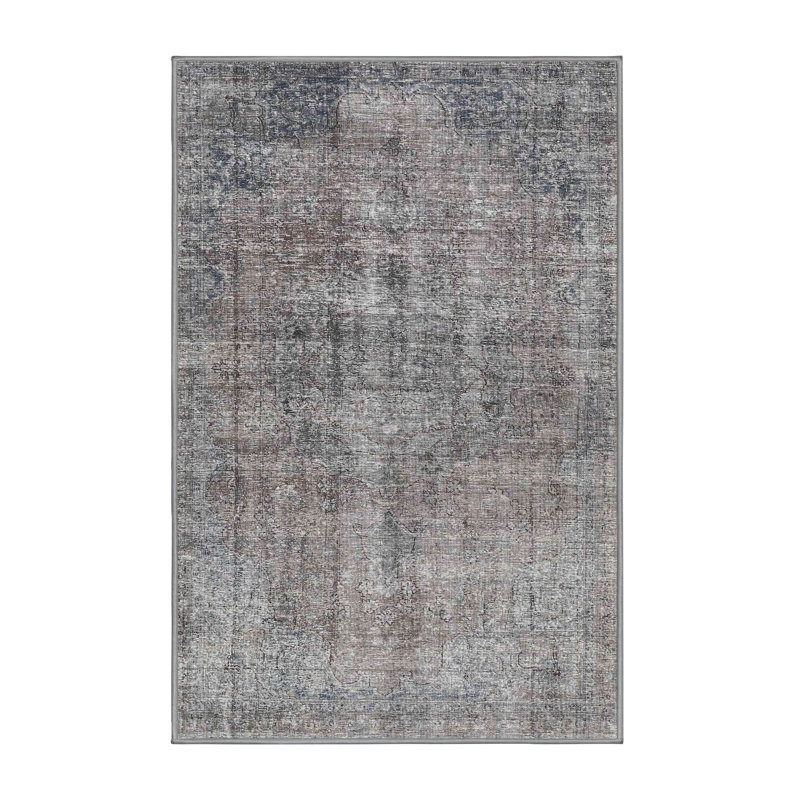 Tapis gris/beige traditionnel Damariscotta, Rectangle 3 pi x 5 pi