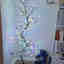 Photos des clients 1 de 2