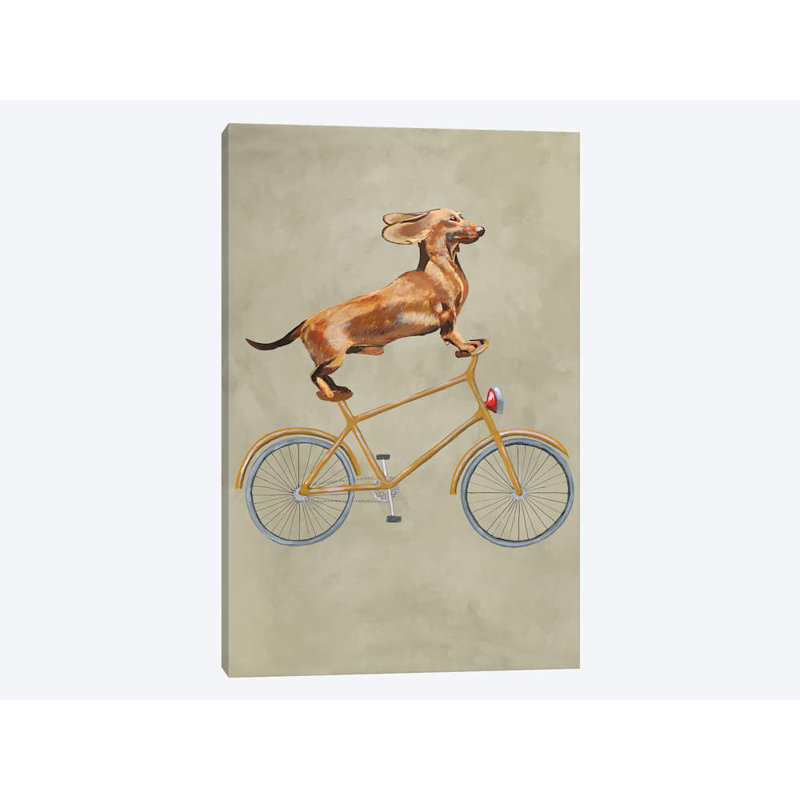 Dachshund On Bicycle I by Coco De Paris - Print on Canvas, 66.04 cm H x 45.72 cm W x 1.91 cm D, No Frame