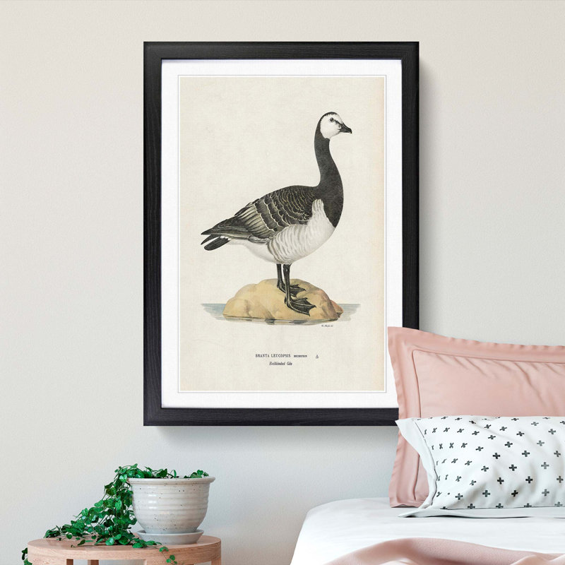 Barnacle Goose by Von Wright - Picture Frame Painting Print, Black Framed, 36cm H x 27cm W x 2cm D