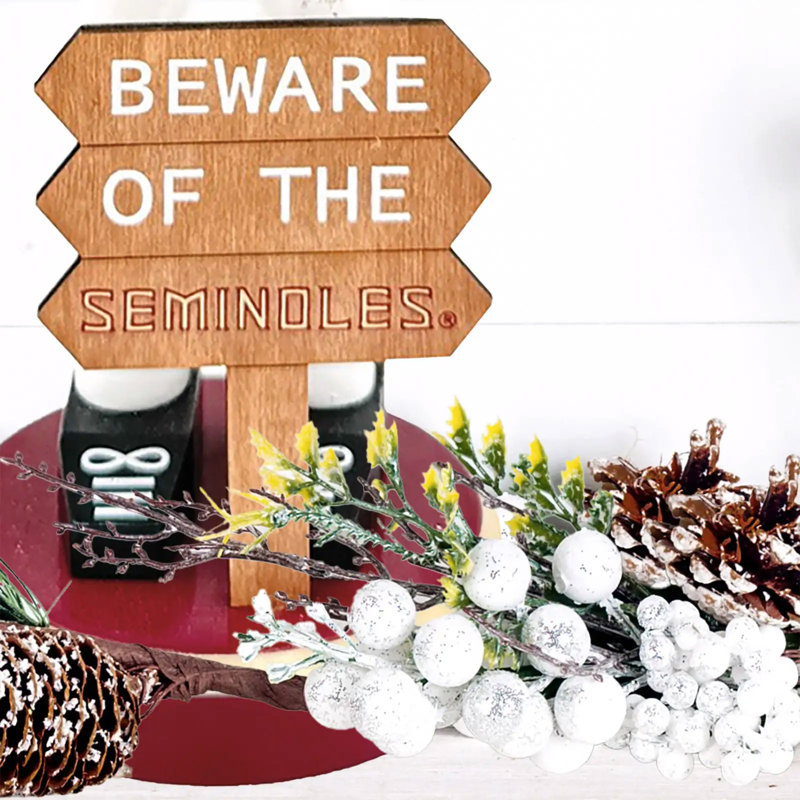 Casse-noisette 12 "NCAA College Spirit Beware, FSU