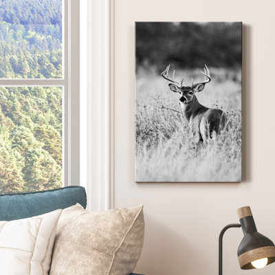 Grasslands - reproduction de photo