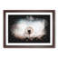 Dandelion Paint Splash - Framed Print-56915766-56915767