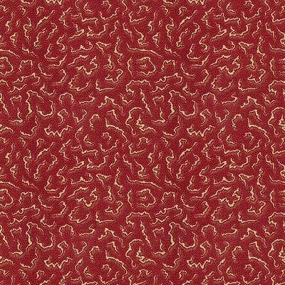Eleuthera Print Fabric