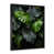 Black Picture Framed