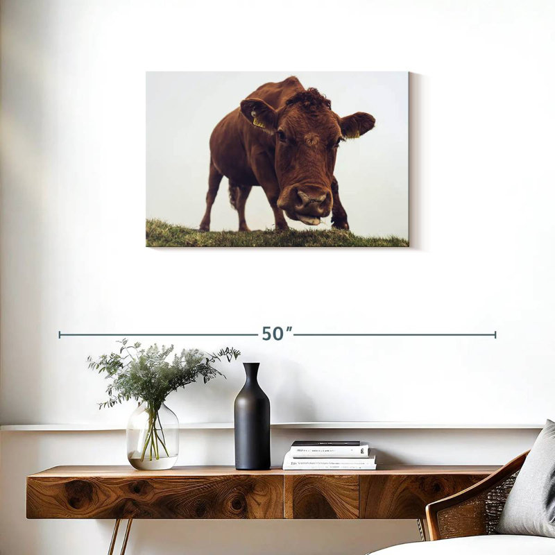 Visage de vache chocolat, H 20 po x l 30 po