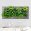 Metal Planter-319983642-393750022