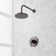 Lexia Pressure Balanced Shower Only Trim Package with Rain Shower Head - Rough In Included