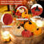 12 Pcs Fall Artificial Pumpkins, Fake Velvet Small Foam Pumpkin,  Harvest Pumpkins, for Fall Harvest Thanksgiving Halloween Autumn Party Table Decor Decoration