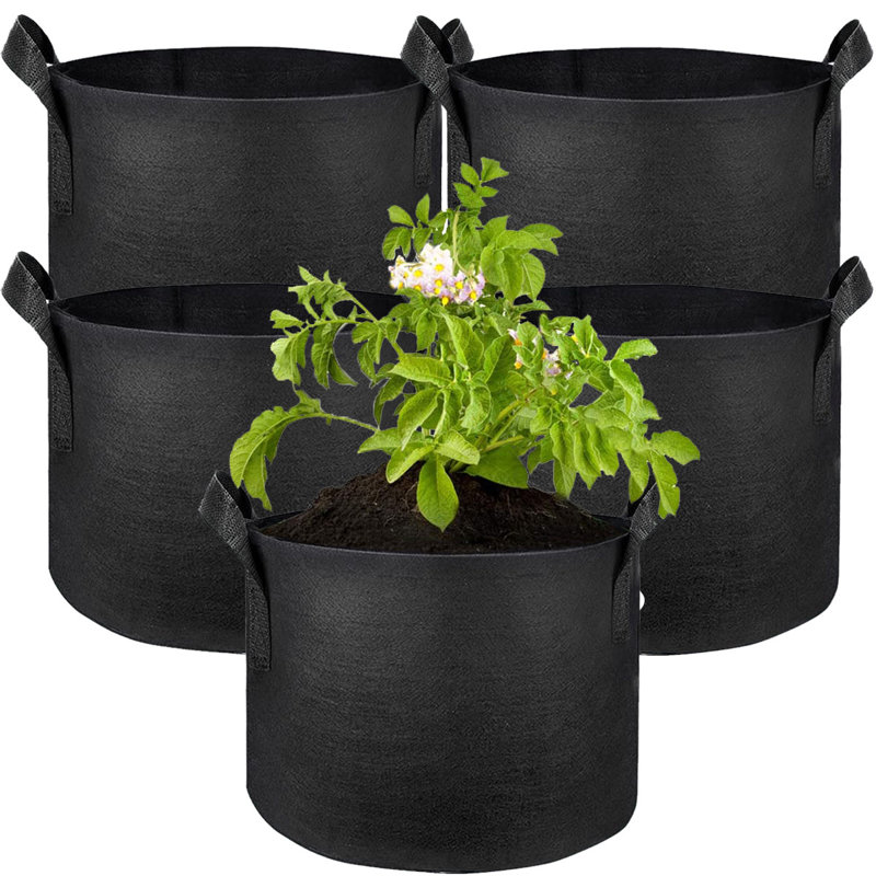 Tonecia Nursery Pot, 5.90" H x 7.08" W x 7.08" D
