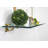 Arriella Bracket Shelf-595406504-593765699