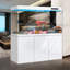 Aquarium Arowana-806831878