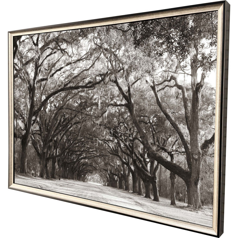 Art encadré sans verre Georgia Stroll