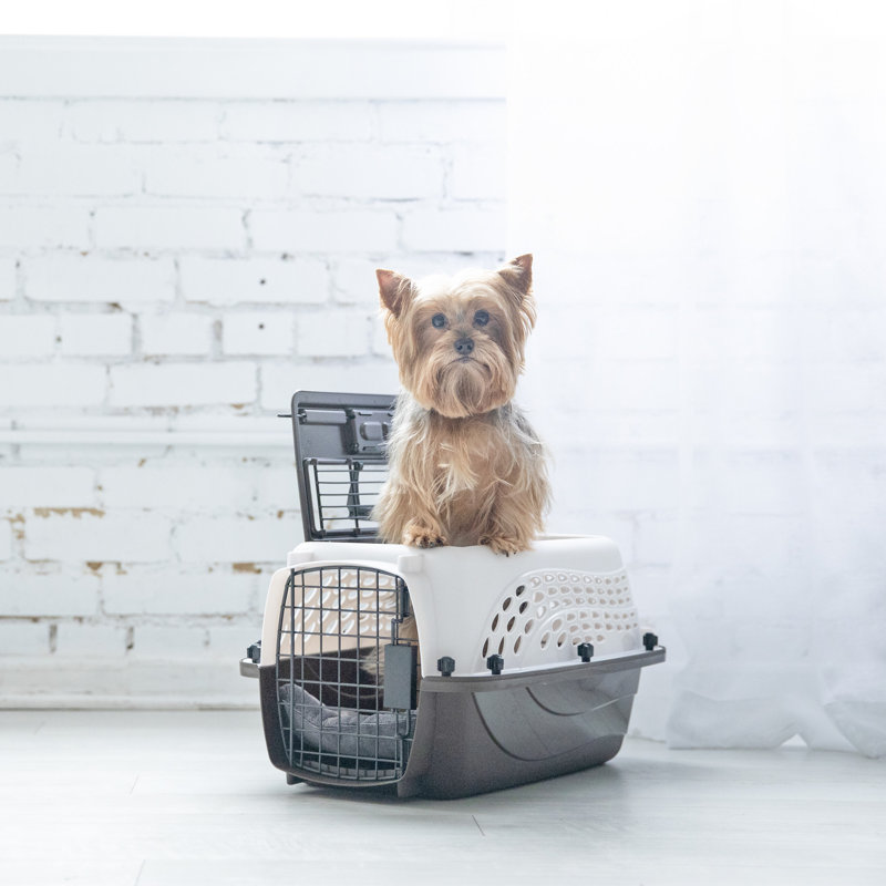 Porte-animal de mode métallique, Très petit (H 10 po x l 12,6 po x P 19 po), Blanc nacré / café